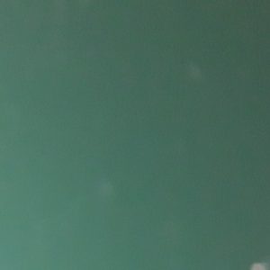 Гладкий лист 0,45 мм RAL 6005 | Алюцинк с полимерным покрытием |