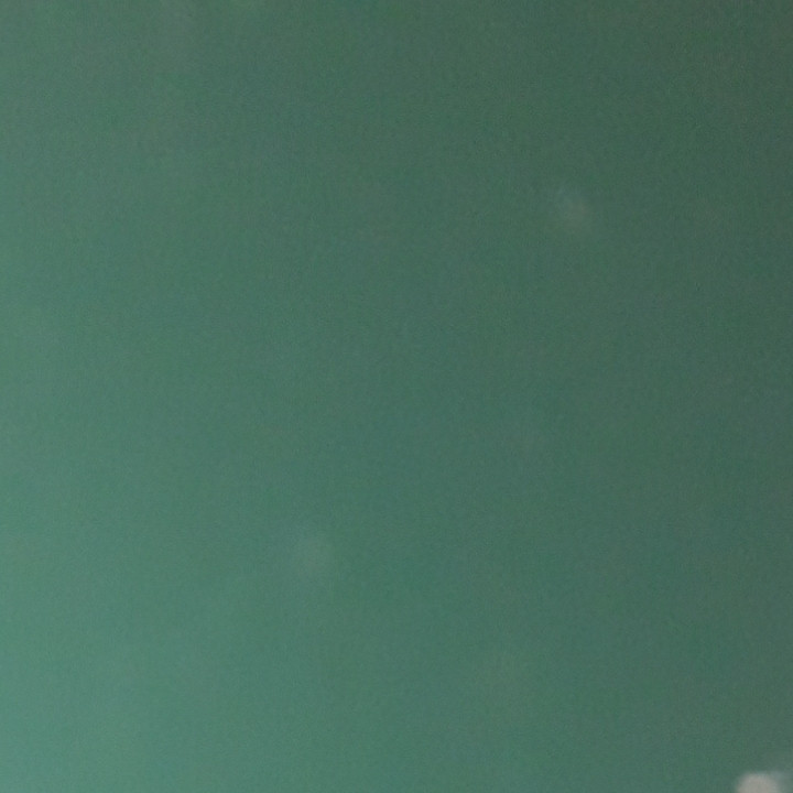 Гладкий лист 0,45 мм RAL 6005 | Алюцинк с полимерным покрытием |