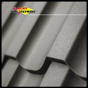 Металлочерепица REN | 0,5 мм | RAL 7024 | PEMA | Blachy Pruszynski |