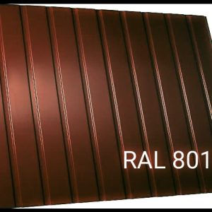 Профнастил C-10 тип П / RAL 8017 / 0,45 мм / Термастил